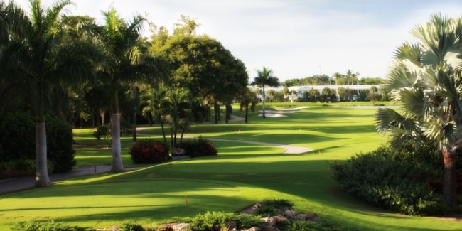 Cypress Lake